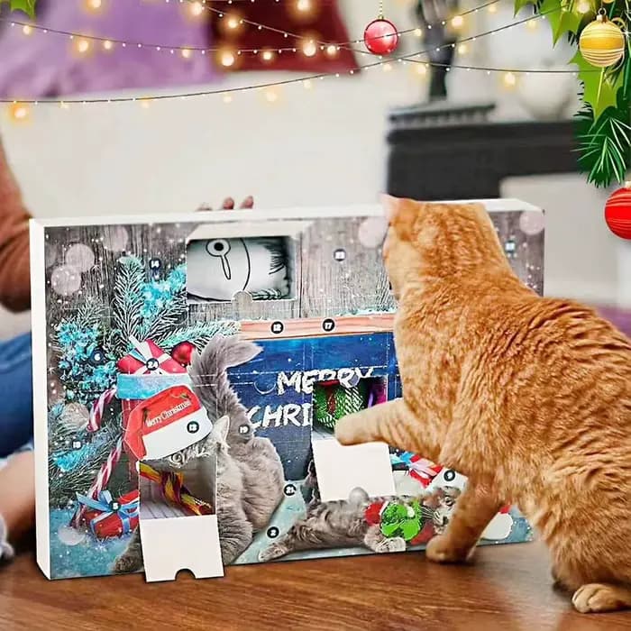 Calendrier de l'Avent de Noël pour chats