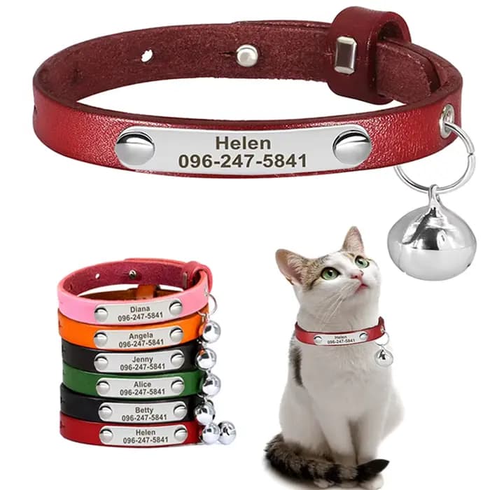 Collier de chat personnalisé réglable en cuir colliers de chats de compagnie