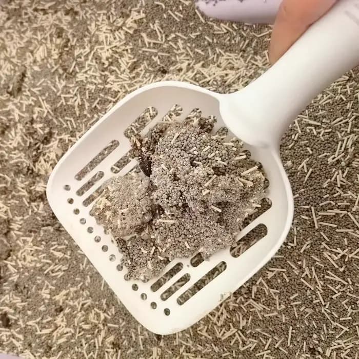 Pelle à litière pour chat