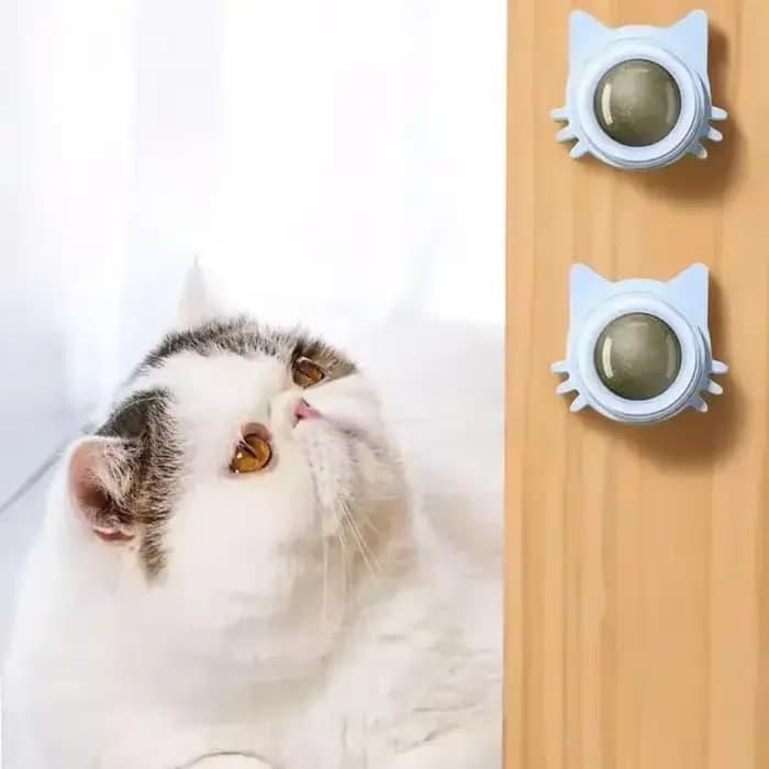 Jouets à la Catnip pour chats – Balle interactive murale d'intérieur à rotation