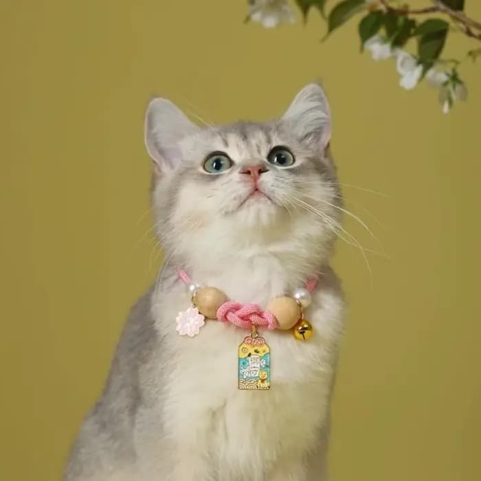 Collier anti-puces ethnique pour chat avec clochettes