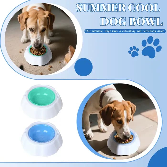 Bol de refroidissement pour animaux de compagnie d'été bol pour animaux de compagnie de soulagement de la chaleur, bol de réfrigération pour animaux de compagnie bol d'eau froide pour chien pour la ma