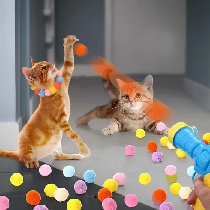 Jouets interactifs pour chat