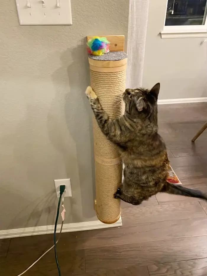 Poteau à gratter pour chat