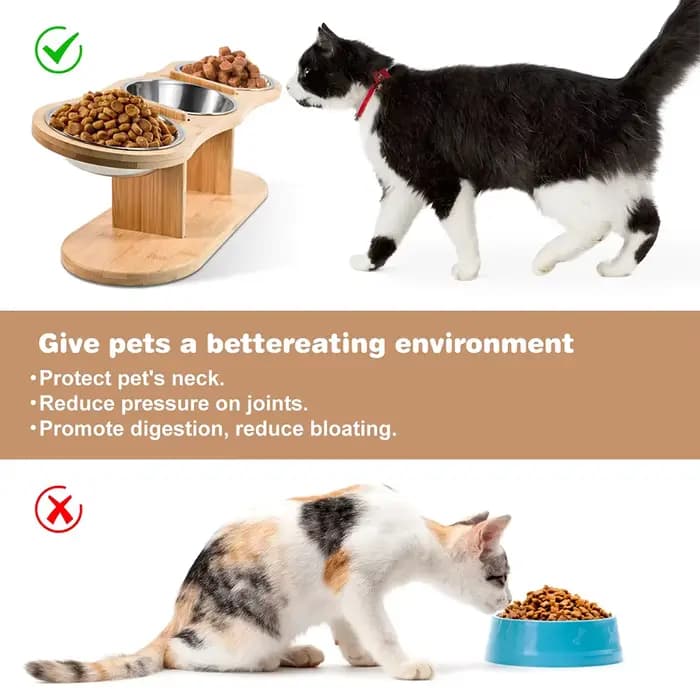 Mangeoire pour chat surélevée 3 bols en 1 fournitures d'alimentation et d'arrosage 15 ° Puppy surélevé 3