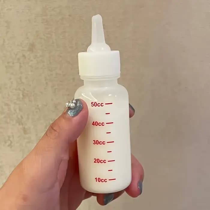 Kit d'alimentation pour chatons et chiots nouveau-nés