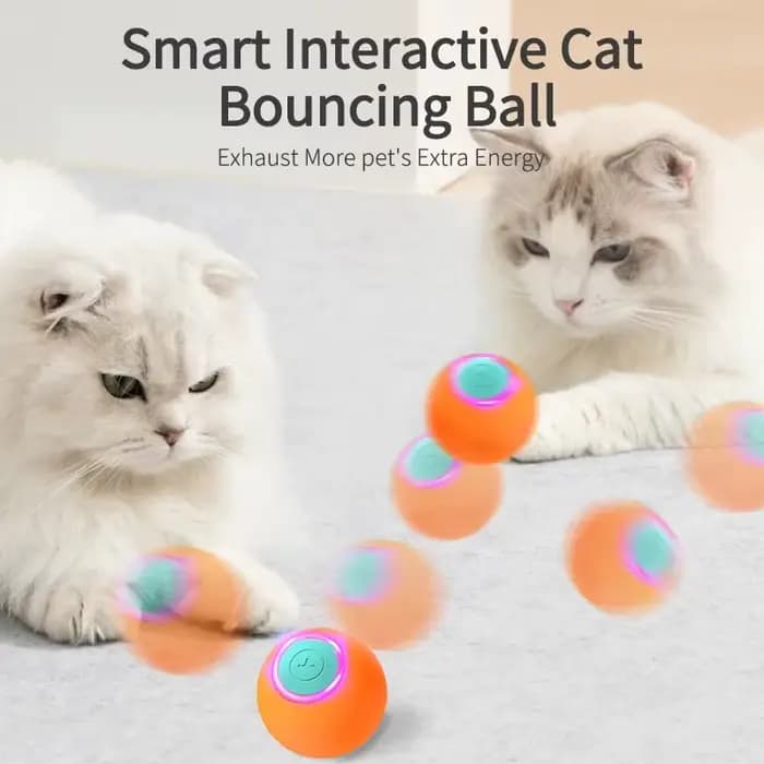 Jouets Intelligents pour Chat