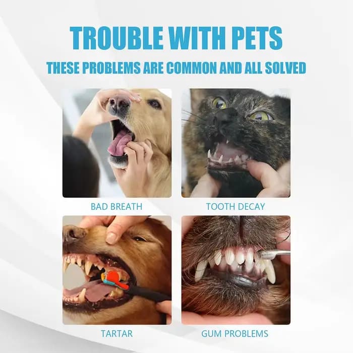 60g Dentifrice Comestible Avancé pour Animaux de Compagnie : Élimine la Plaque et le Tartre