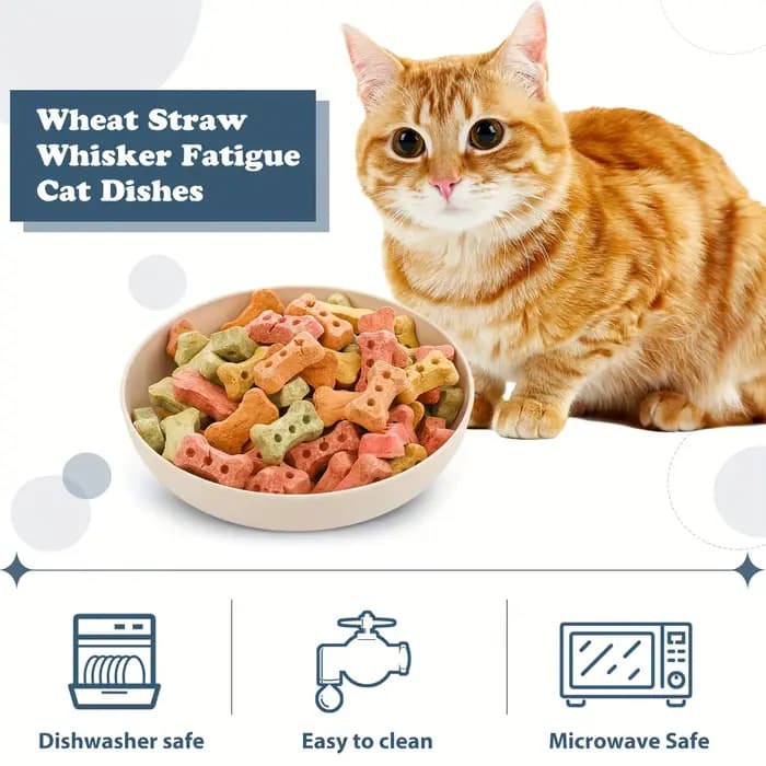 Pack de 4 bols pour chat moustaches - Plats d'alimentation peu profonds