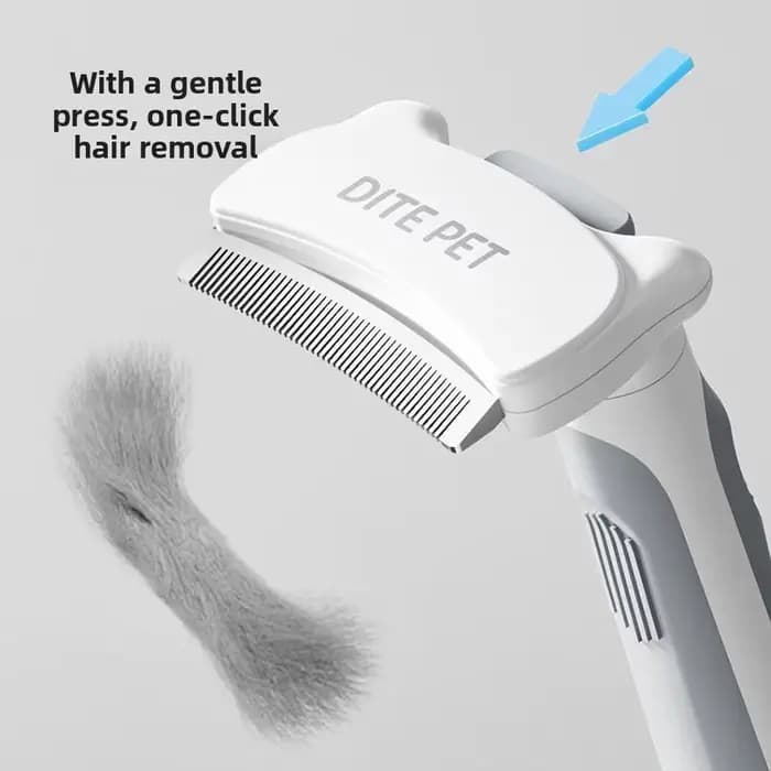 Brosse de toilettage pour animaux de compagnie
