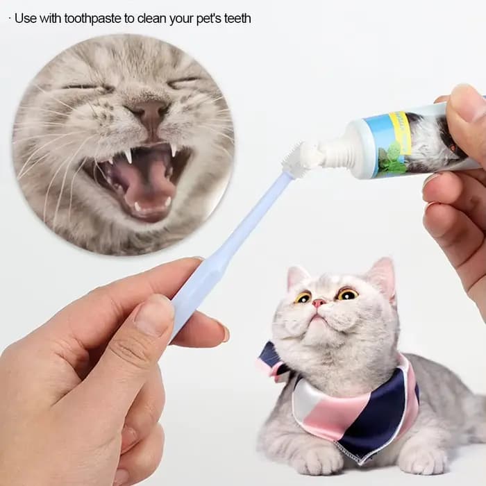 Brosse à dents pour chat