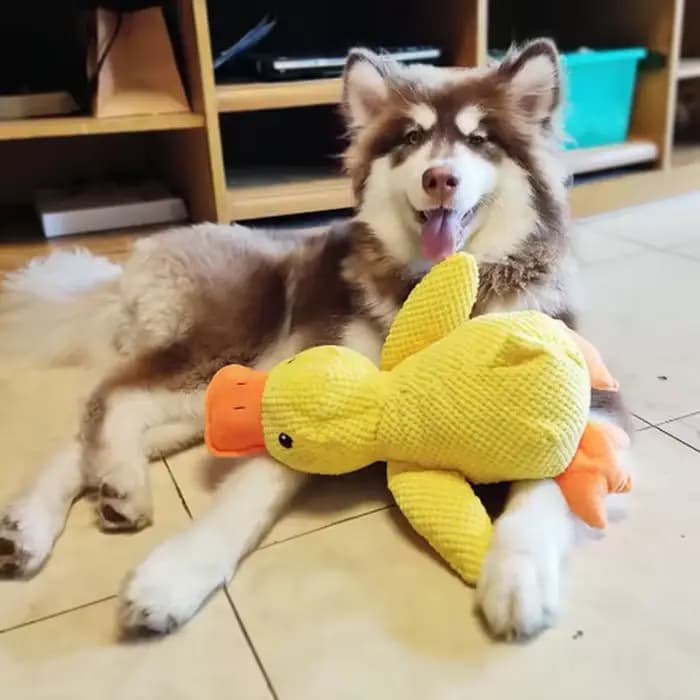 Peluche Canard Jaune pour Chien, Compagnon de Sommeil, Jouet Interactif pour Animaux, Poupée Anti-ennui, Jouets à Mâcher pour Chiens