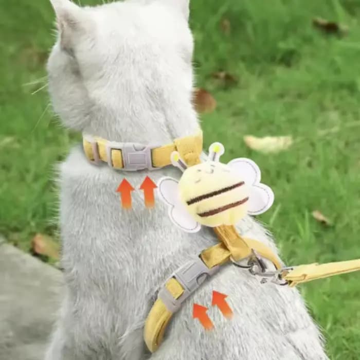 Harnais pour chat, harnais et ensemble pour animaux de compagnie