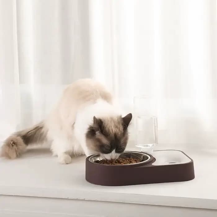 Gamelle pour chat en acier inoxydable anti-éclaboussures, anti-renversement, antidérapante, abreuvoir étanche, fournitures pour animaux de compagnie