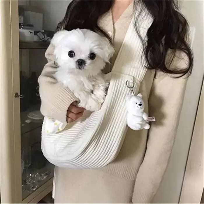 Sac de transport pour chiot et chat