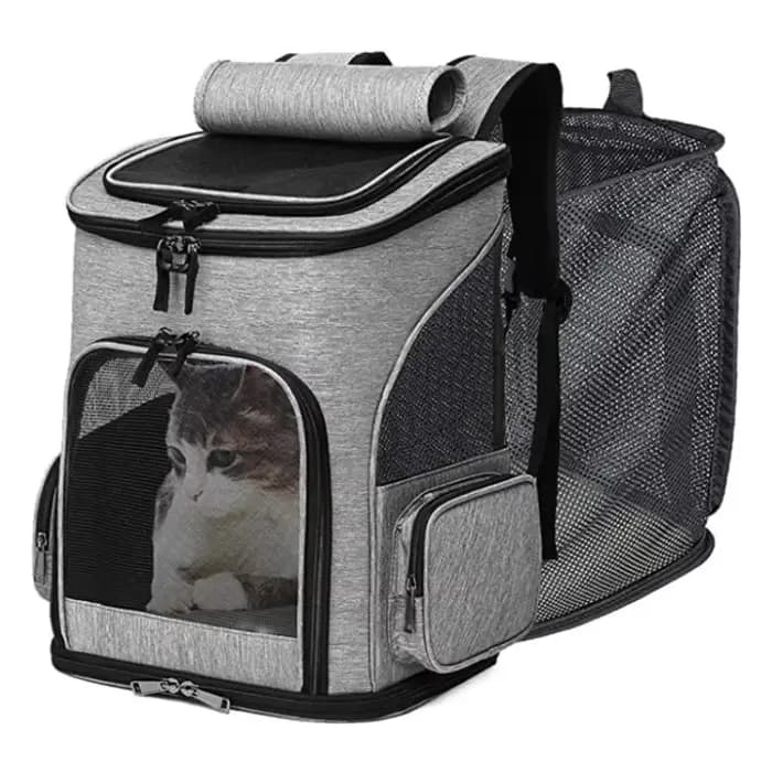 Sac à dos de Transport respirant pour animaux de compagnie