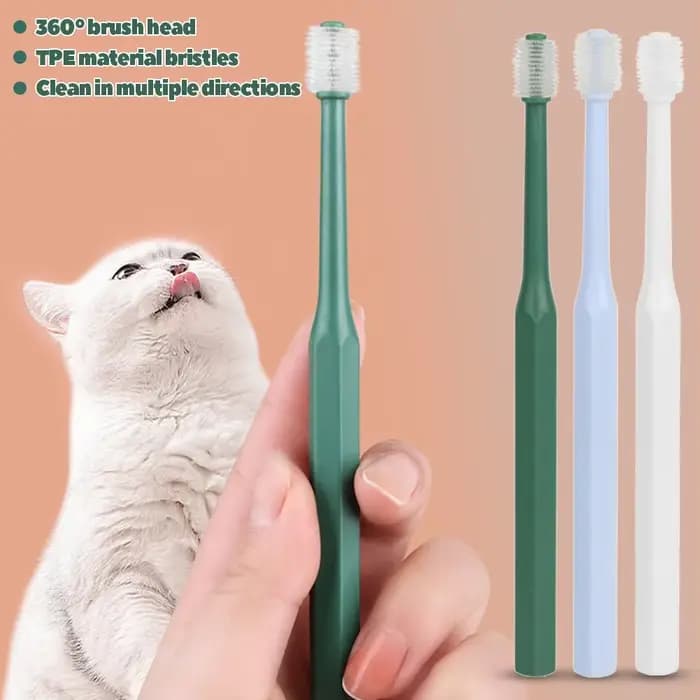 Brosse à dents pour chat