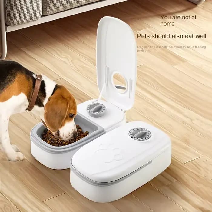 Mangeoire pour chien et chat