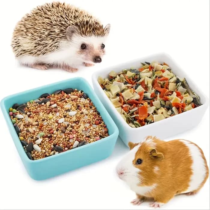 Bol en céramique pour animaux de compagnie