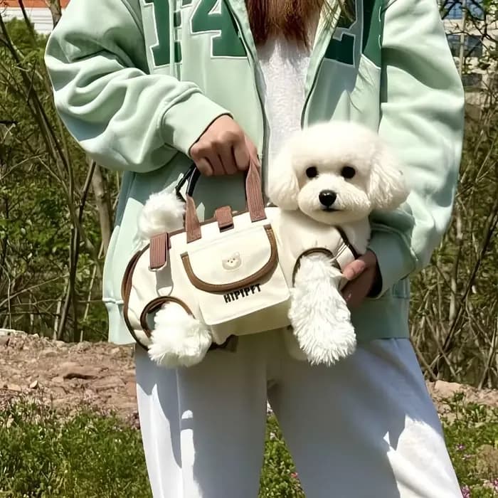Sac de transport Portable pour animaux de compagnie