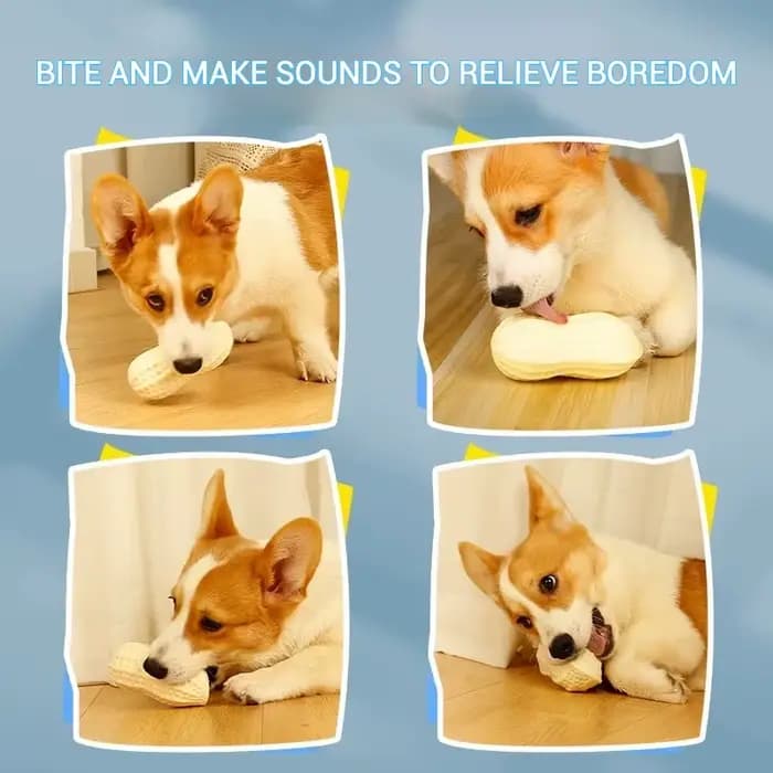 Jouets pour animaux de compagnie TPR Simulation cacahuète son jouet série végétale