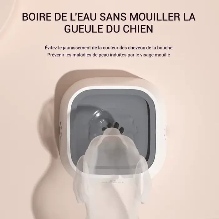 Bol d'eau pour chien, sans déversement