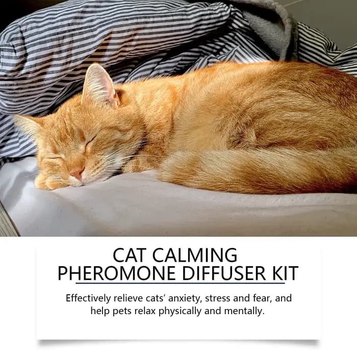 Phéromones pour animaux de compagnie diffuseur apaisant chat chien calme relaxant soulagement des émotions