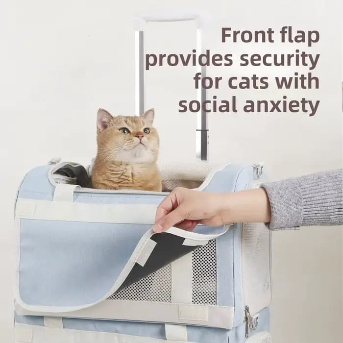Sac de transport portable double couche pour animaux de compagnie, respirant, pour chat et chien, avec grande capacité, idéal pour les voyages et les sorties en extérieur