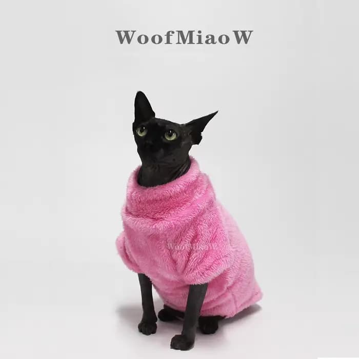Pull pour chat de compagnie
