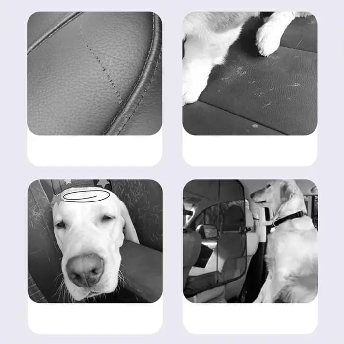 Panier de transport pour animaux de compagnie