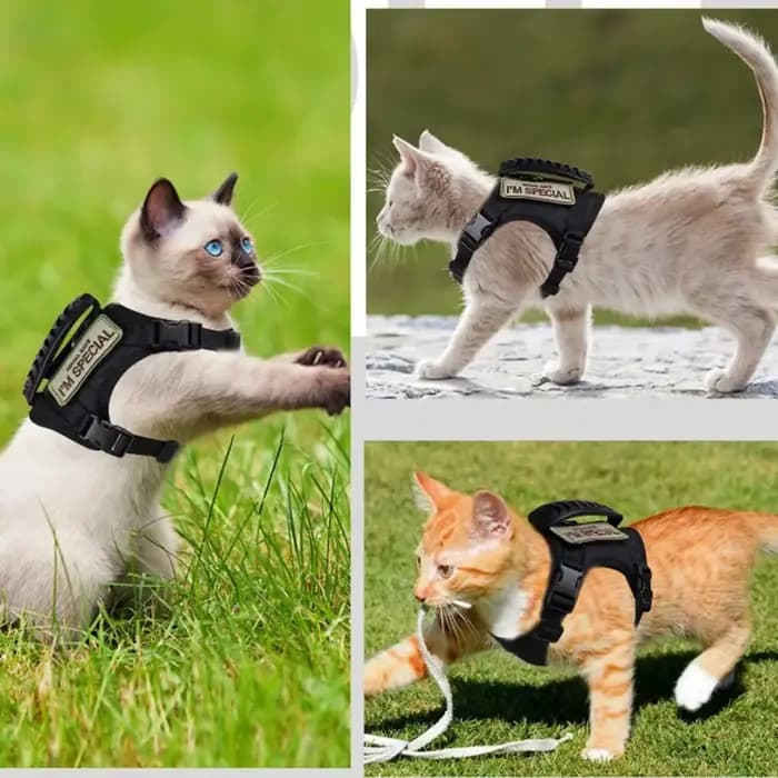 Harnais tactique pour chat
