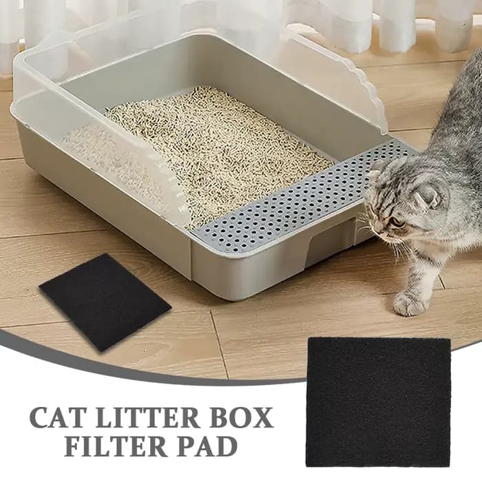Filtre de bac à litière pour chat