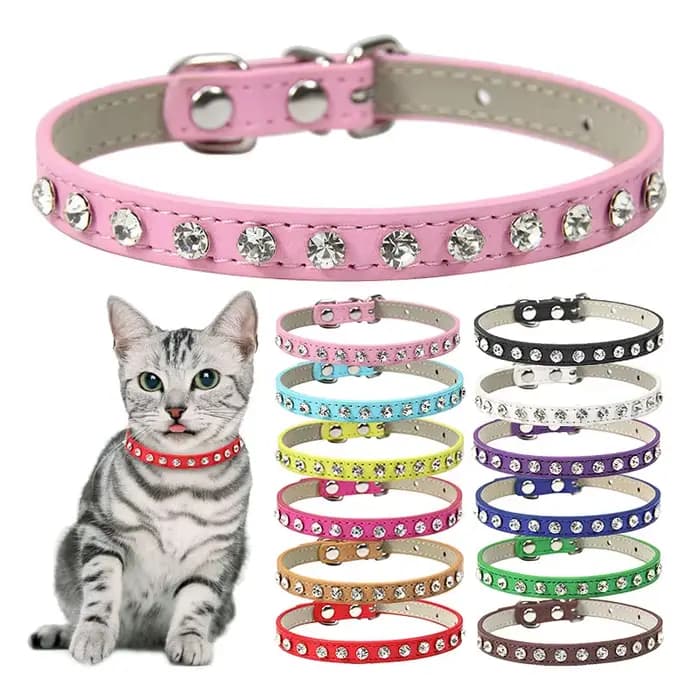 Collier de luxe en cuir pour chat