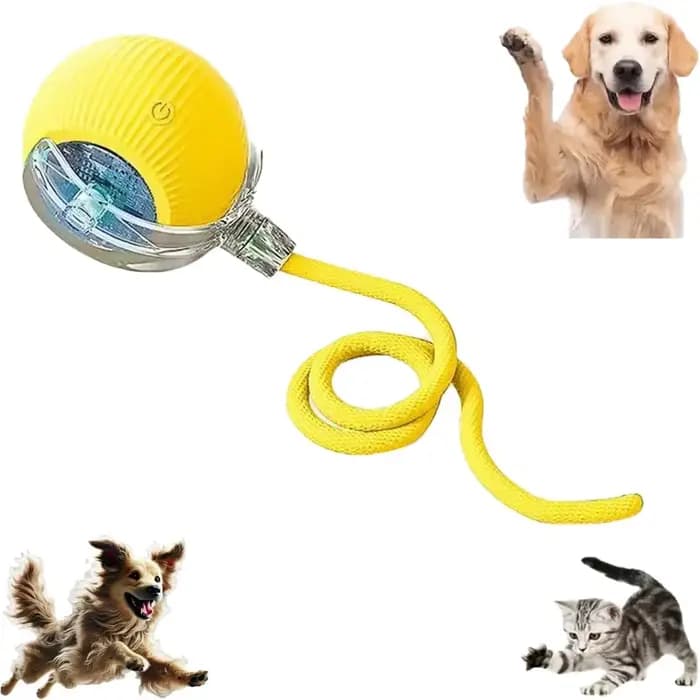 Balle de jouet pour animaux de compagnie avec corde de queue