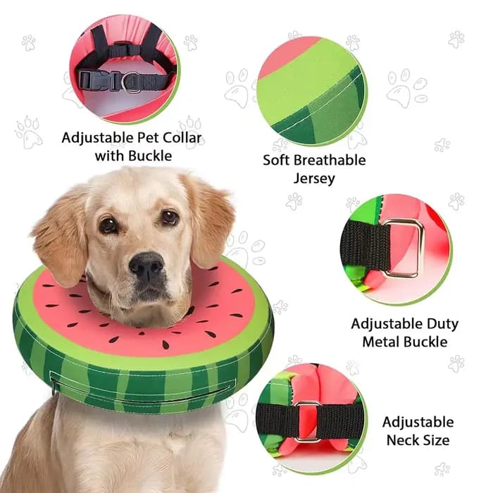 Collier gonflable anti-morsure pour chien