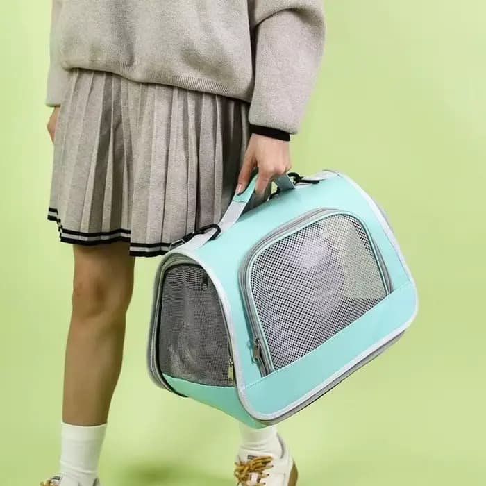 Sac à main Portable pour sortie d'animaux de compagnie