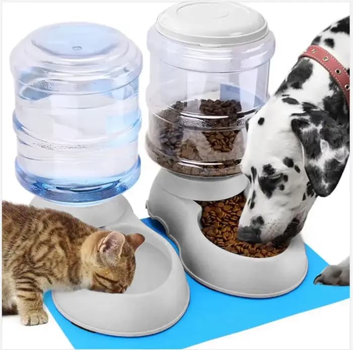 Mangeoires automatiques pour animaux de compagnie