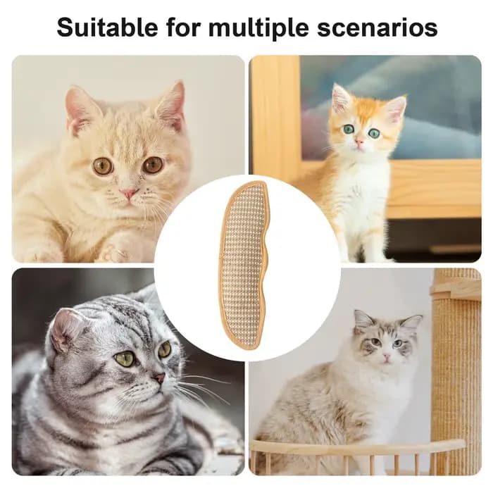 Coussin de jeu pour animaux de compagnie avec rembourrage à la catnip