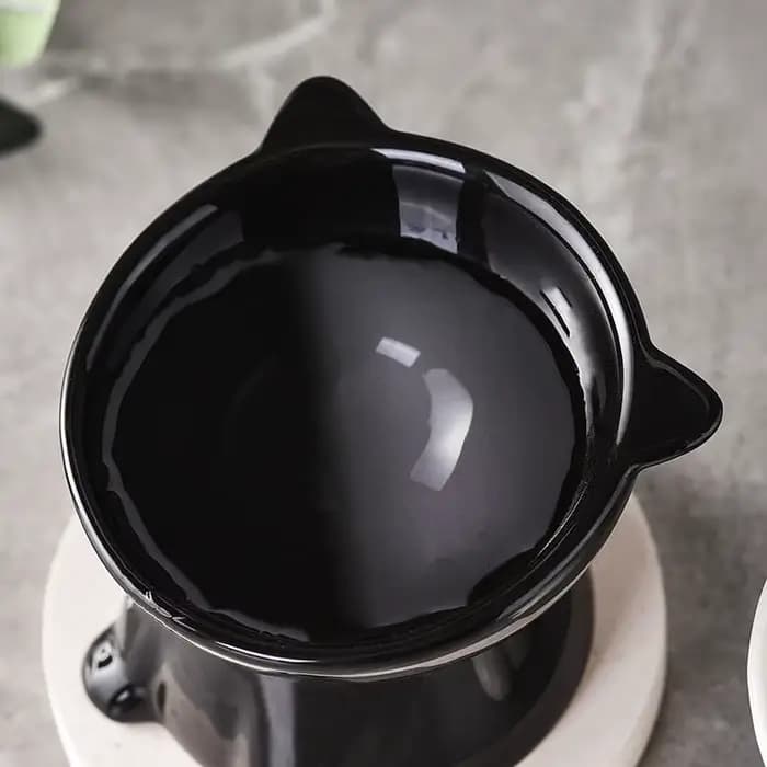 Bol anti-renversement pour nourriture et eau pour chat