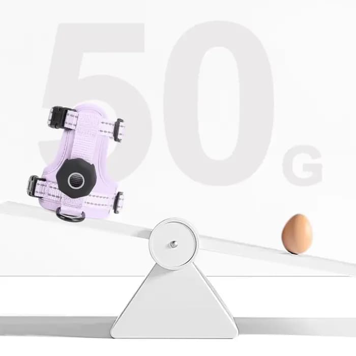Harnais anti-évasion pour chat avec poche pour traceur GPS