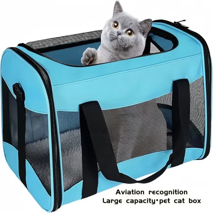 Boîte de transport pour chat-boîte