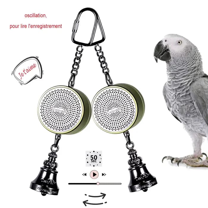 Jouet oiseau Jouets de perroquet à l'enseignement de la formation Entraîneur parlant d'oiseau Enregistrement interactif Lecture