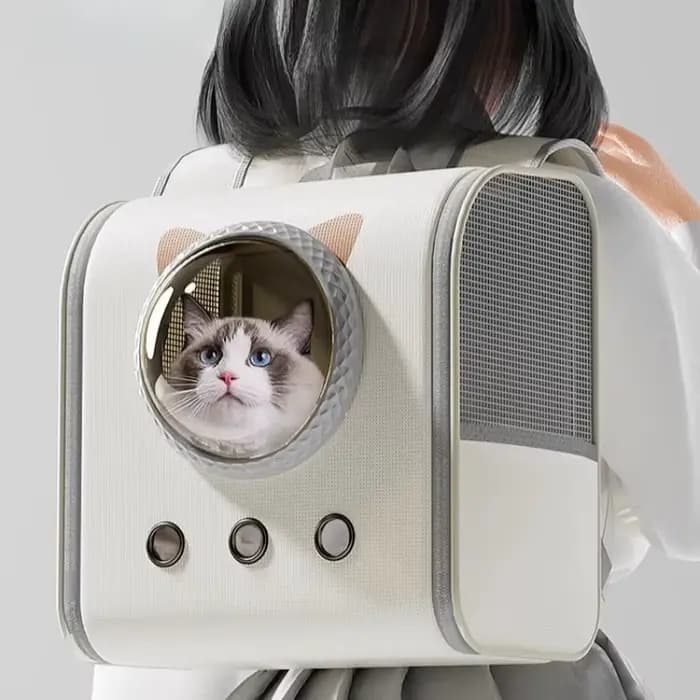 Sac de Transport Portable pour chat