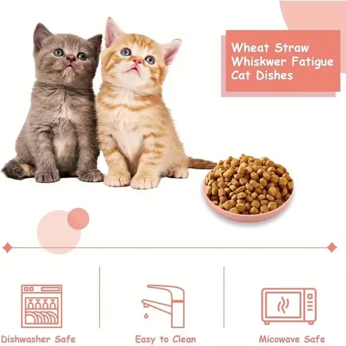 Bol à moustaches pour chat