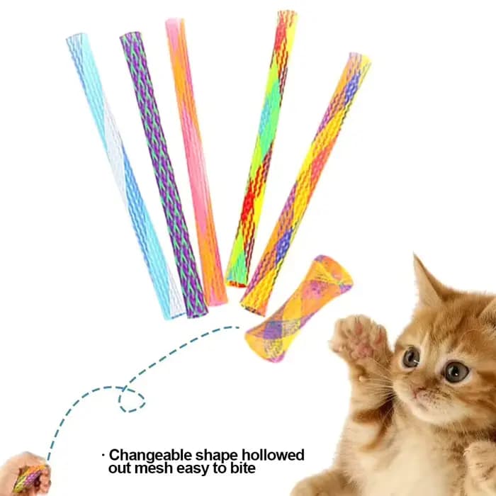 Bâton de jouet à ressort pour chat