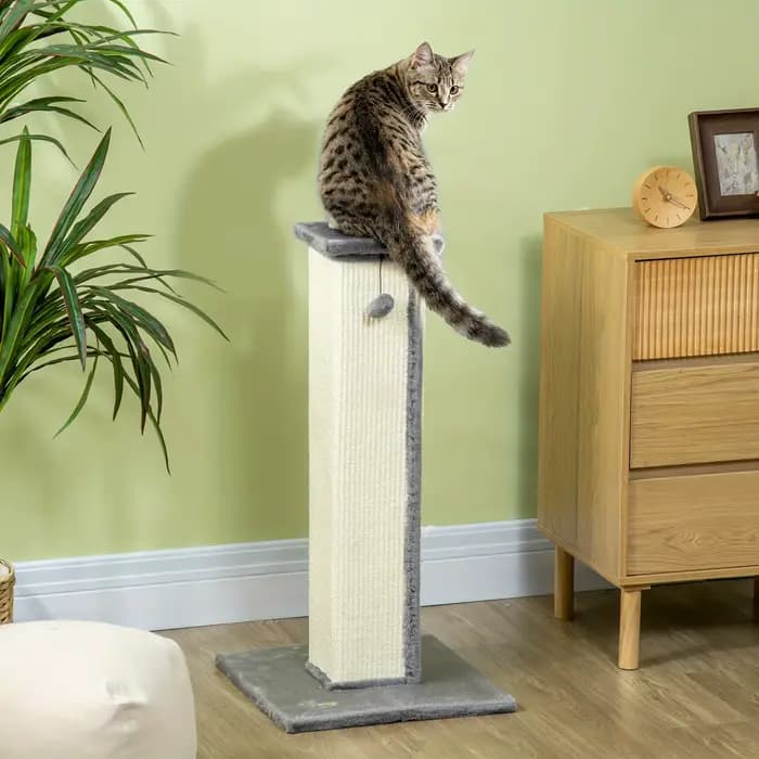 Poste à gratter en Sisal pour chat de 32 pouces de haut