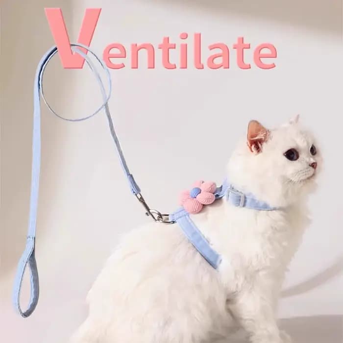 Ensemble Harnais et Laisse pour Chat Motif Fleur Mignon