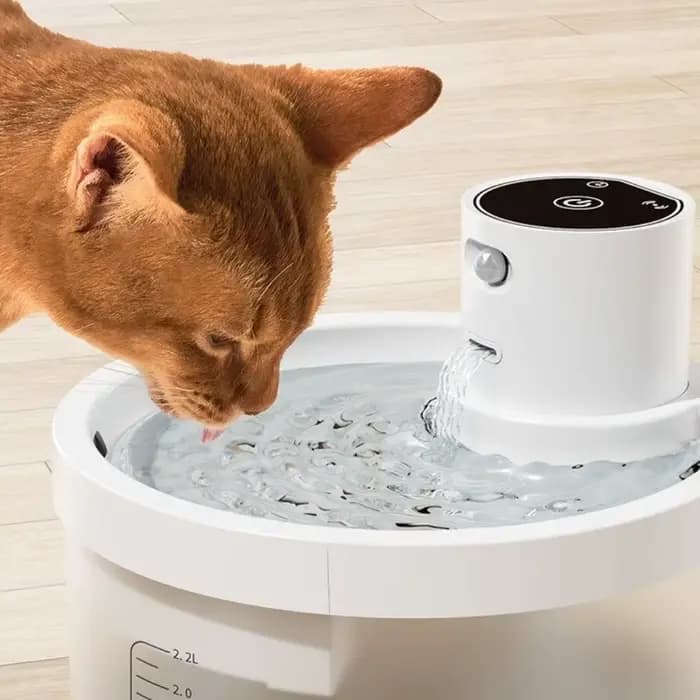 Fontaine d'eau pour animaux de compagnie