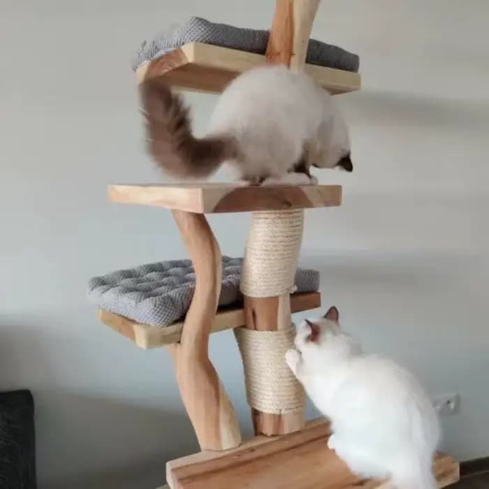 Arbre à chat en bois d'intérieur moderne de haute qualité