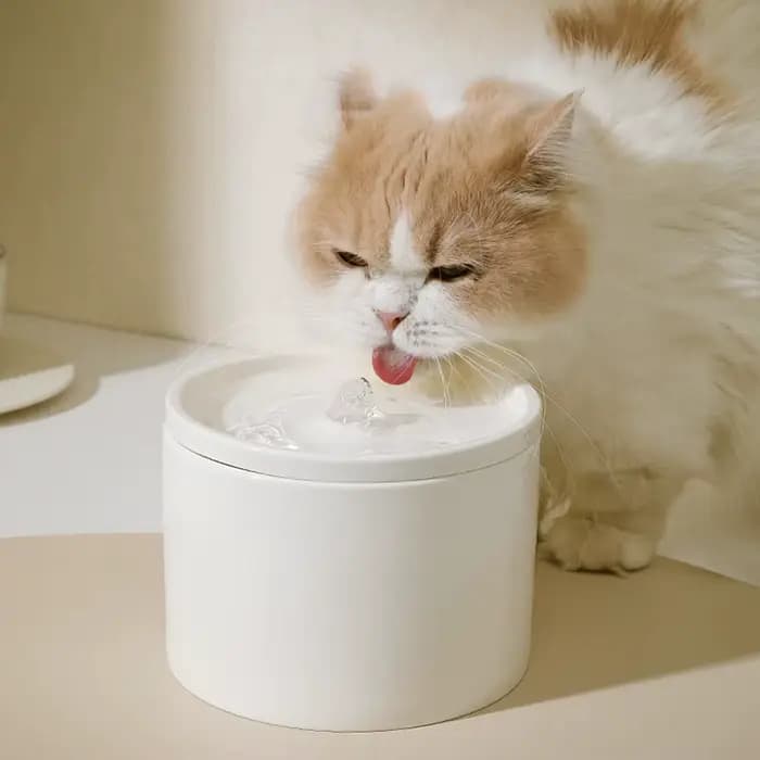Distributeur d'eau automatique pour chat